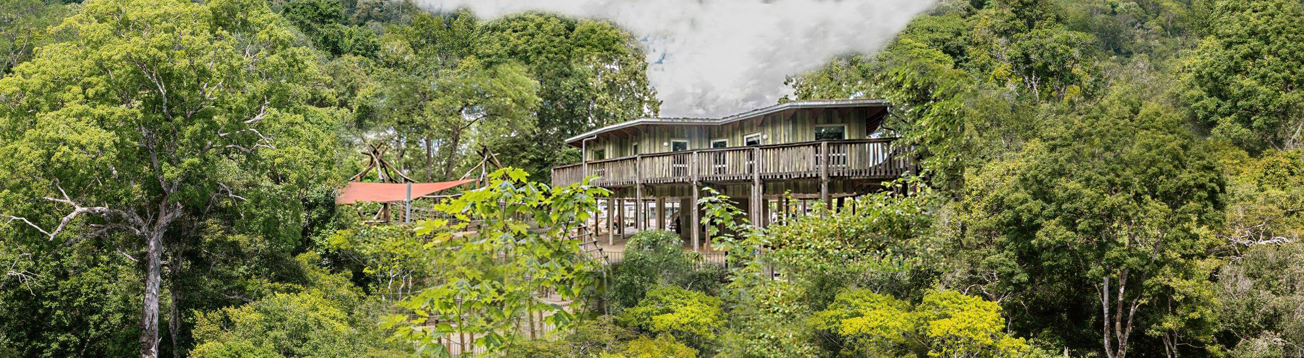 Baumhaus-Bild-_neu_GS_Markranst